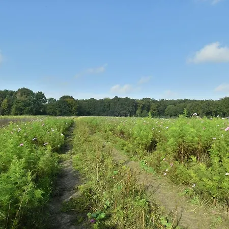 Konukevi Huisje Bij De Berg